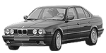BMW E34 P0347 Fault Code